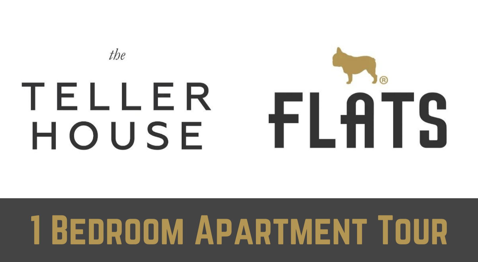 The Teller House - One Bedroom Apartment in Uptown Chicago  One Bedroom Apartment in Uptown Chicago - The Teller House