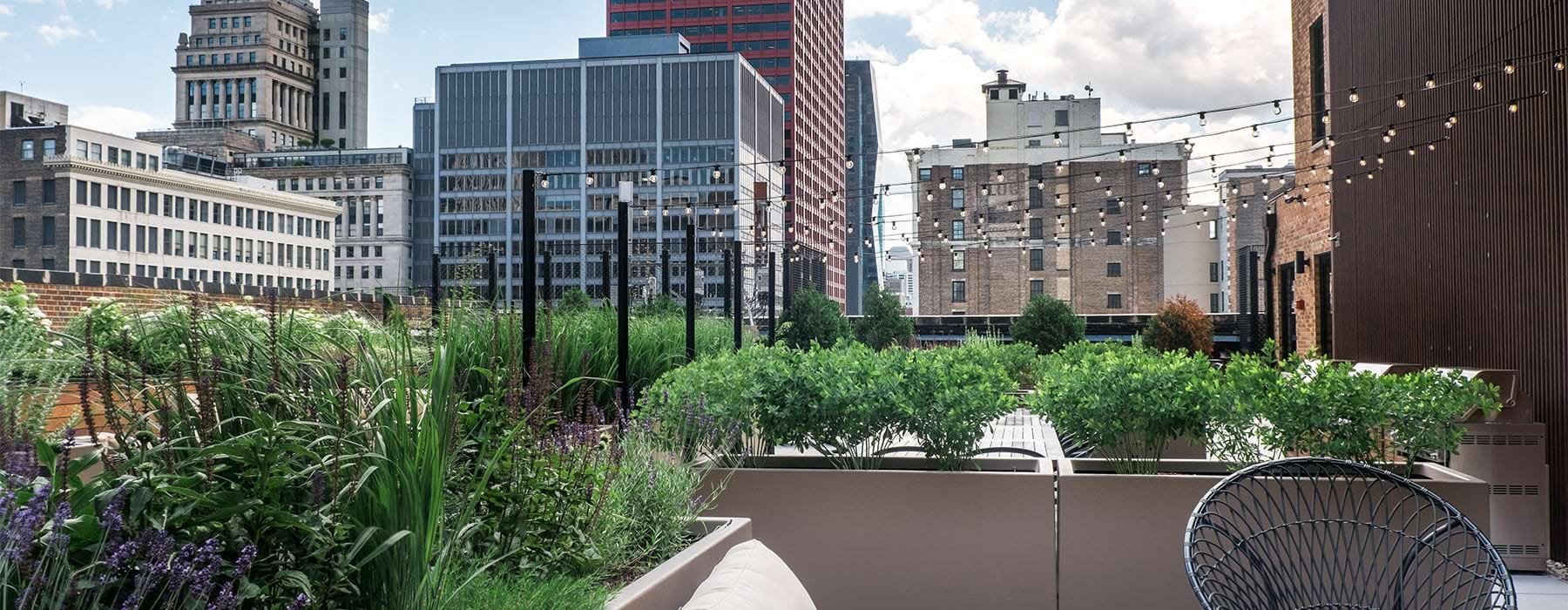 Petfriendly apartments in Chicago, IL The Teller House