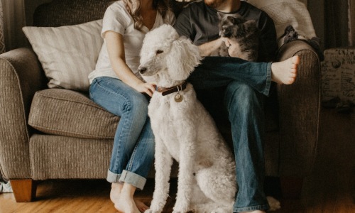 apartments near me that allow pets