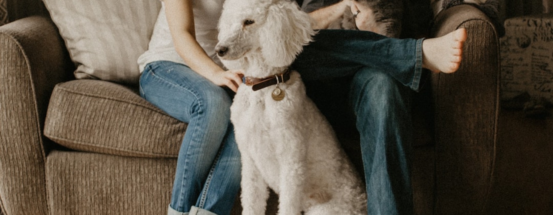 apartments near me that allow pets