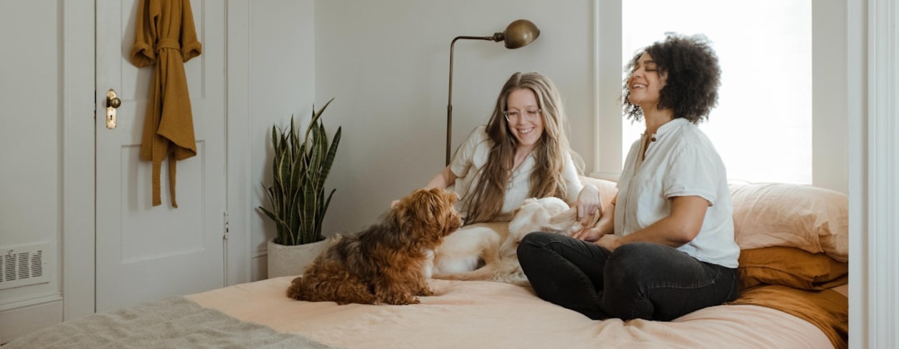 pet friendly apartments for rent in chicago