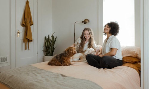 pet friendly apartments for rent in chicago